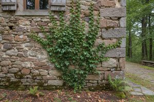 Mur soubassement : tout savoir pour un choix durable